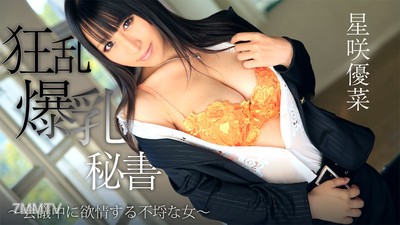HEYZO-0746 瘋狂爆乳秘書～會議中欲情的不倫女人～